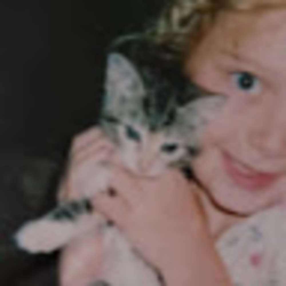 Meet your Posher, Ella